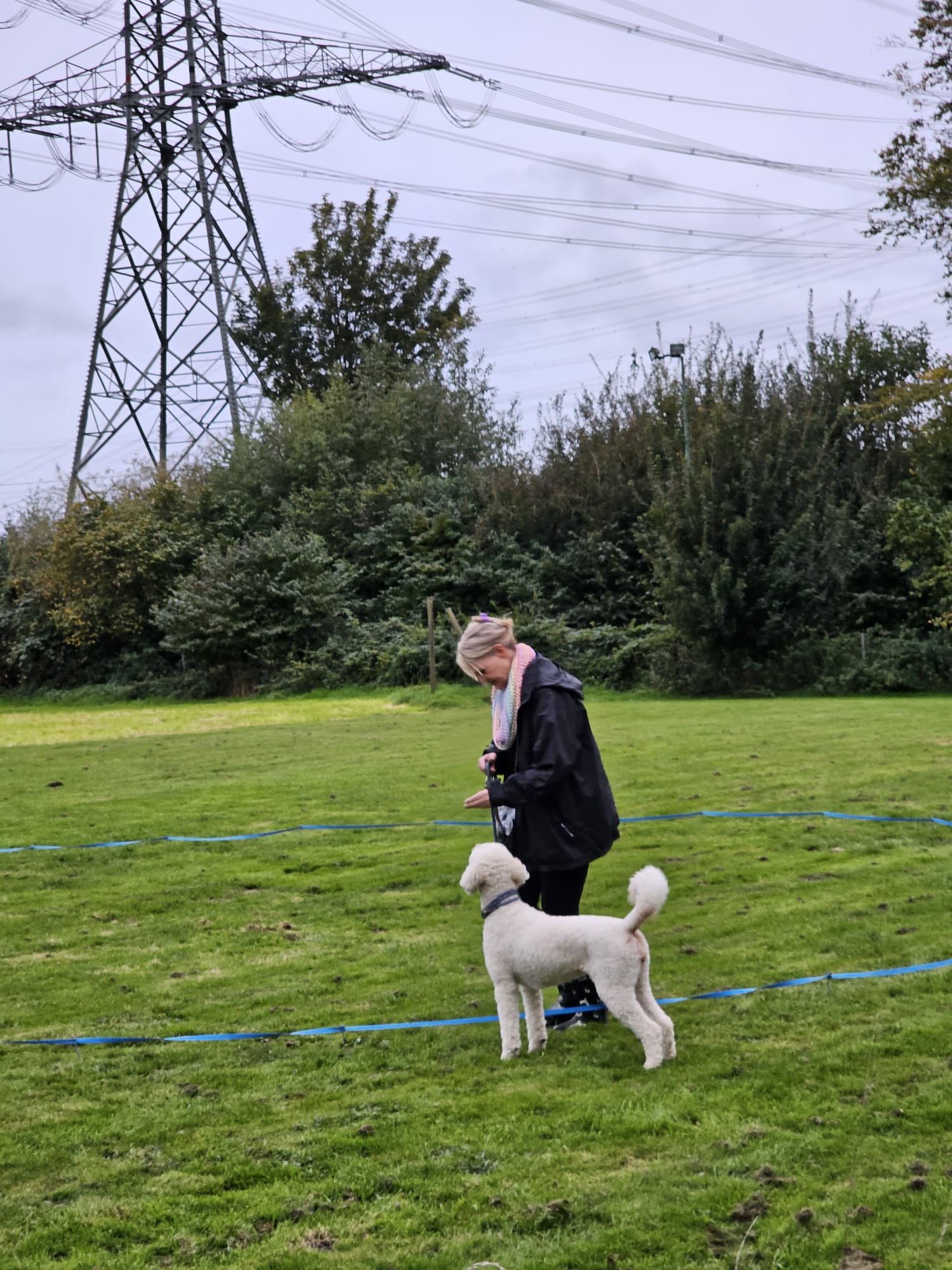 Longieren mit Matthias